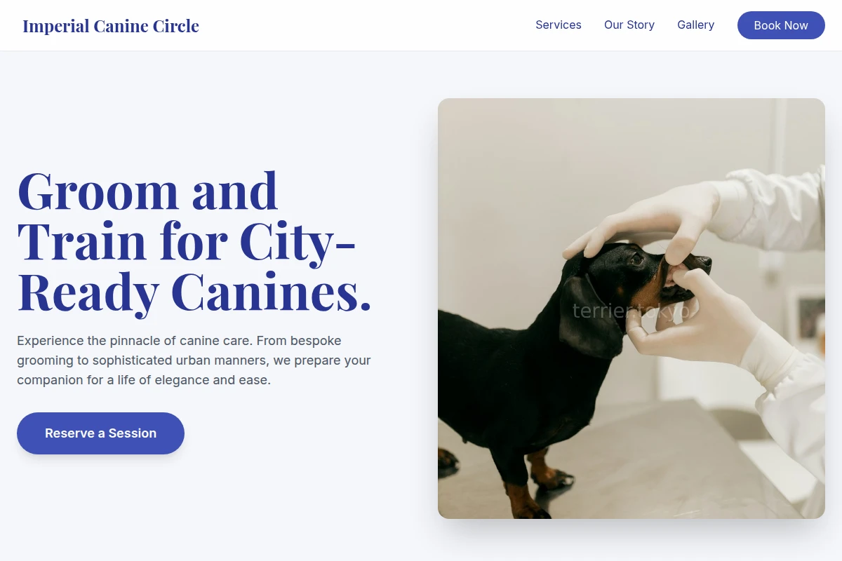 Boutique Animal Care