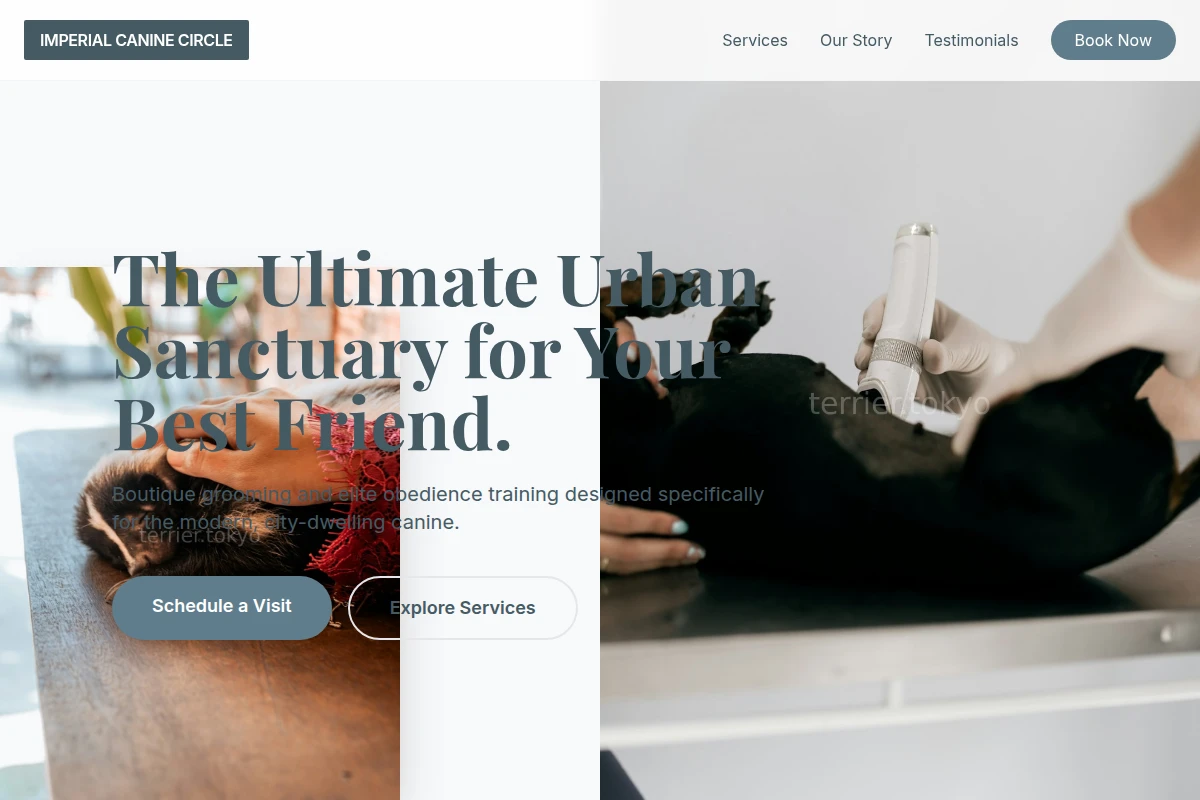 Boutique Animal Care