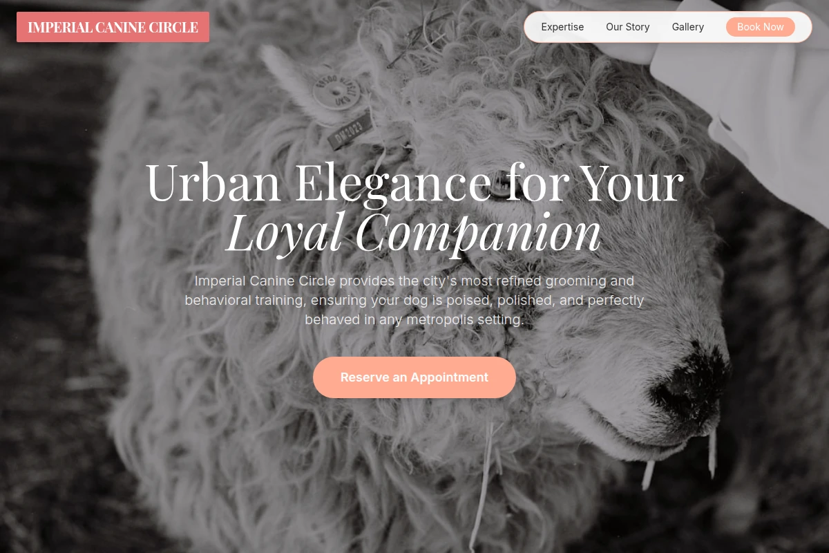 Modern Animal Care