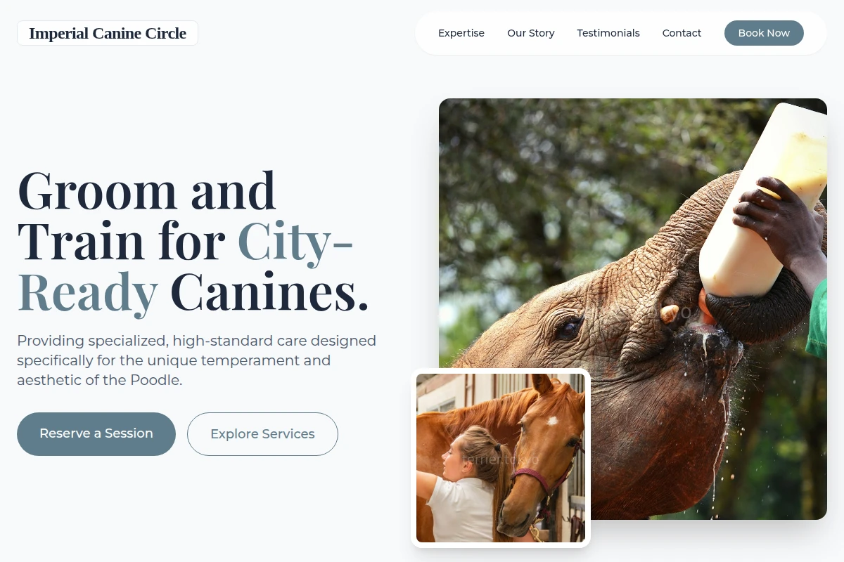 Poodle Animal Care