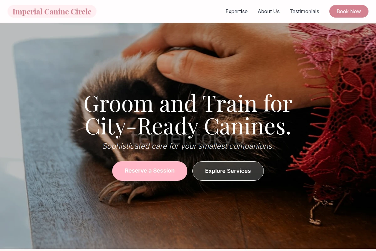 Toy Animal Care