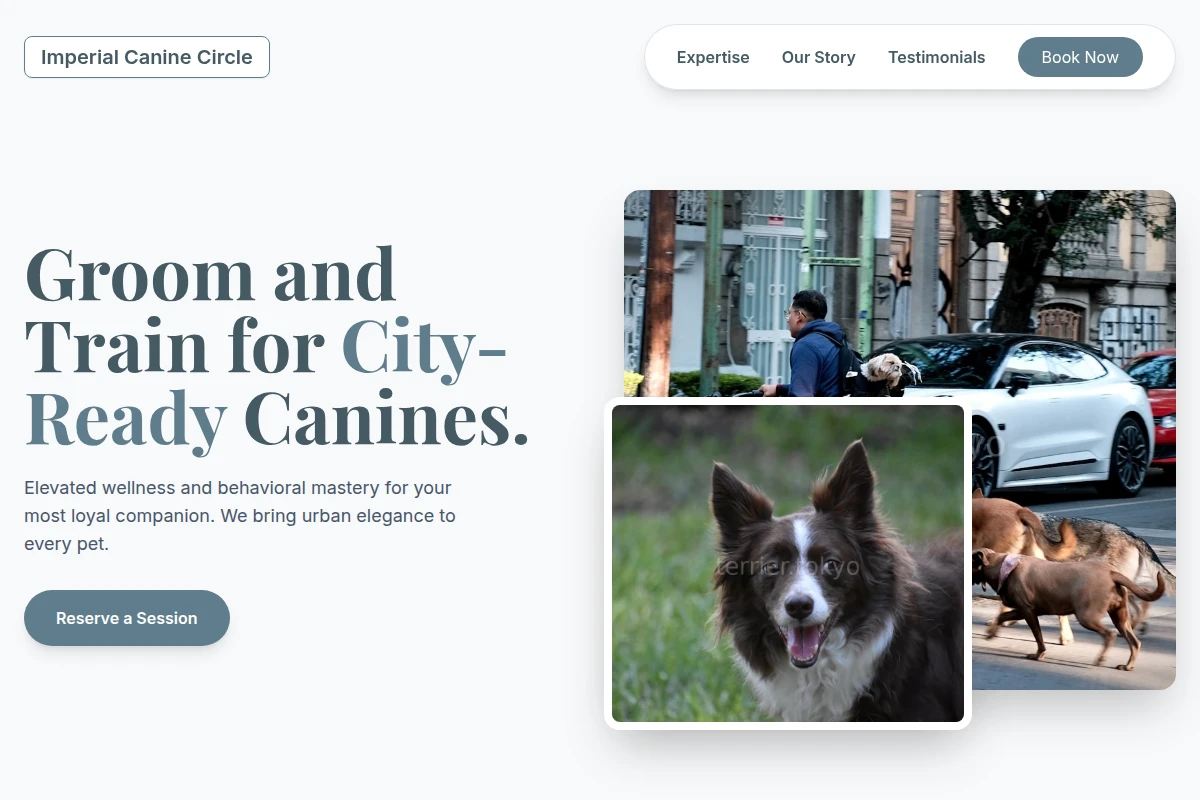 Treat Pet Services