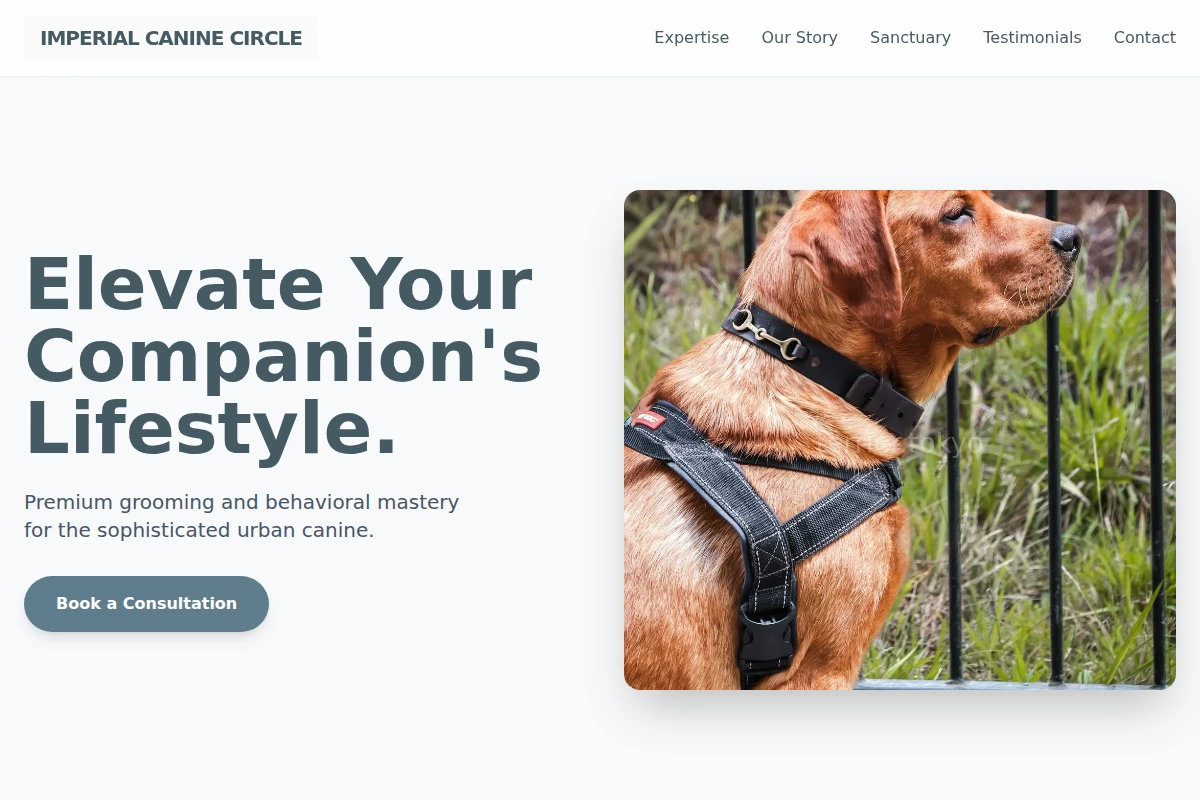 K9 Pet Services