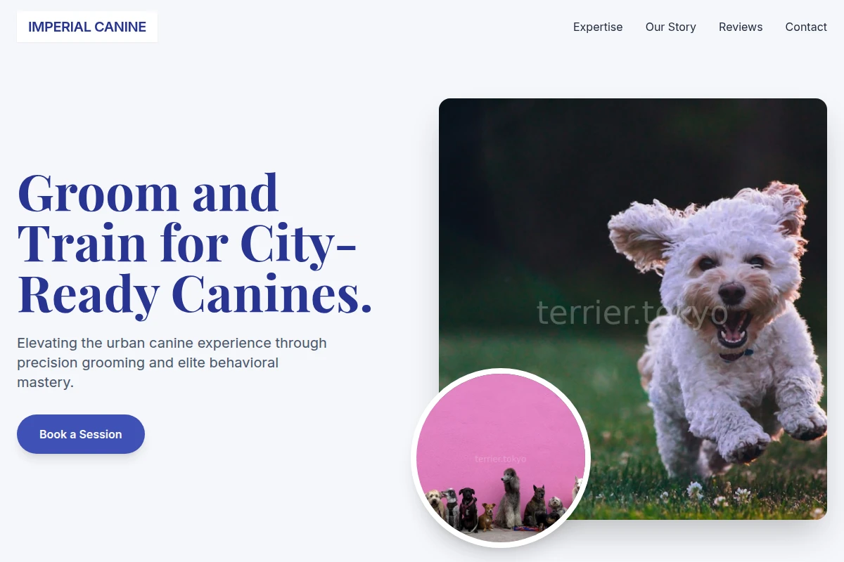 pet-shop